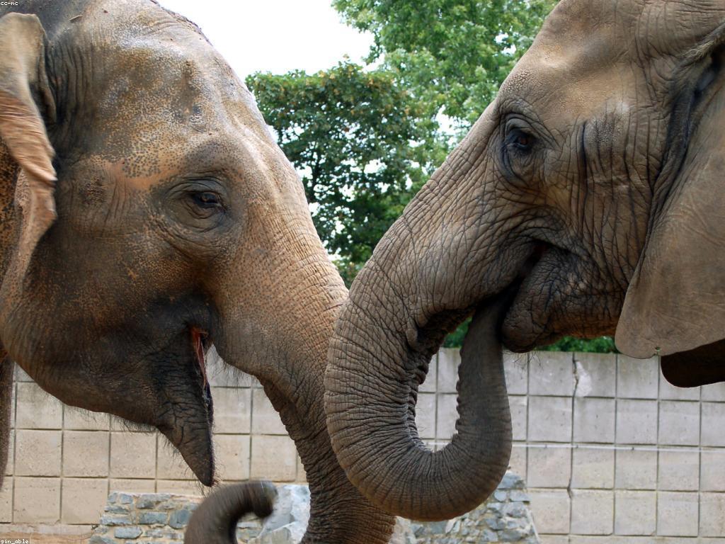 សារសំខាន់នៃសំណួរ និងសំណេីរ