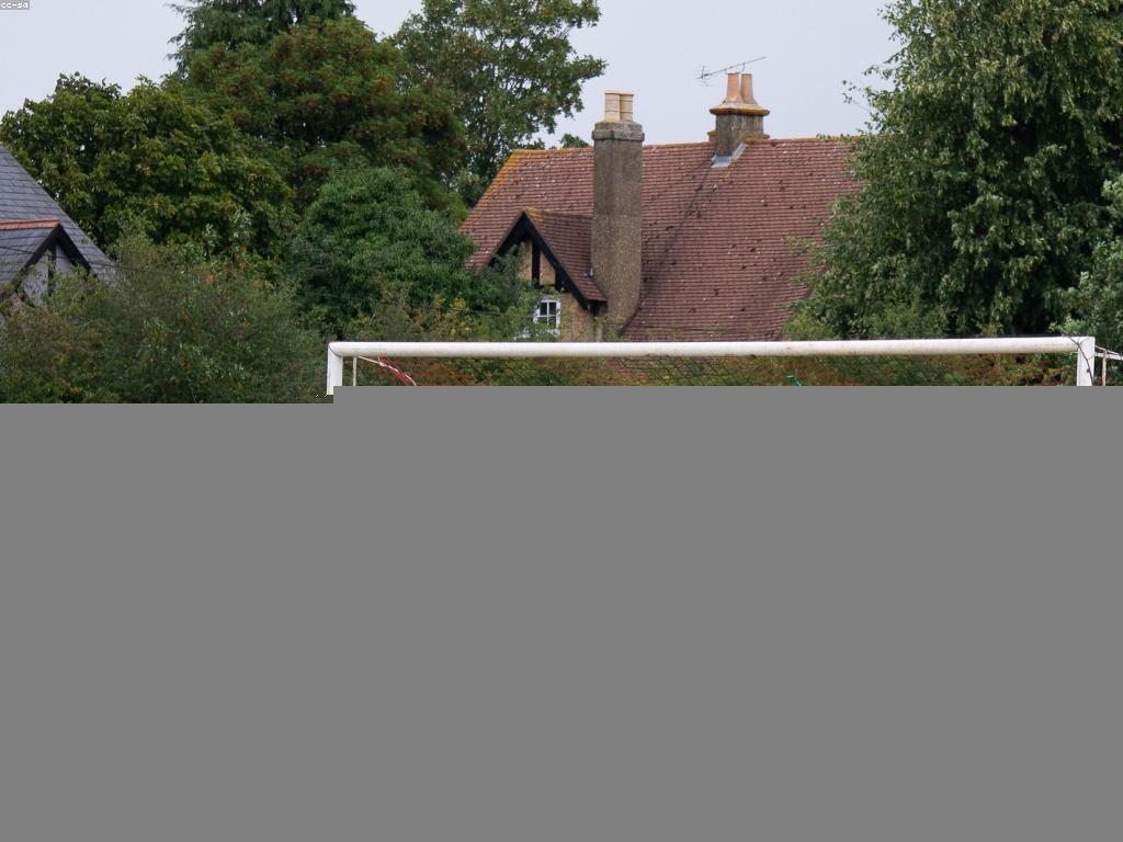 គន្លឹះសម្រាប់អ្នកលេងថ្មី: ការធ្វើការប្រែប្រួលដើម្បីរក្សាទំនាក់ទំនង